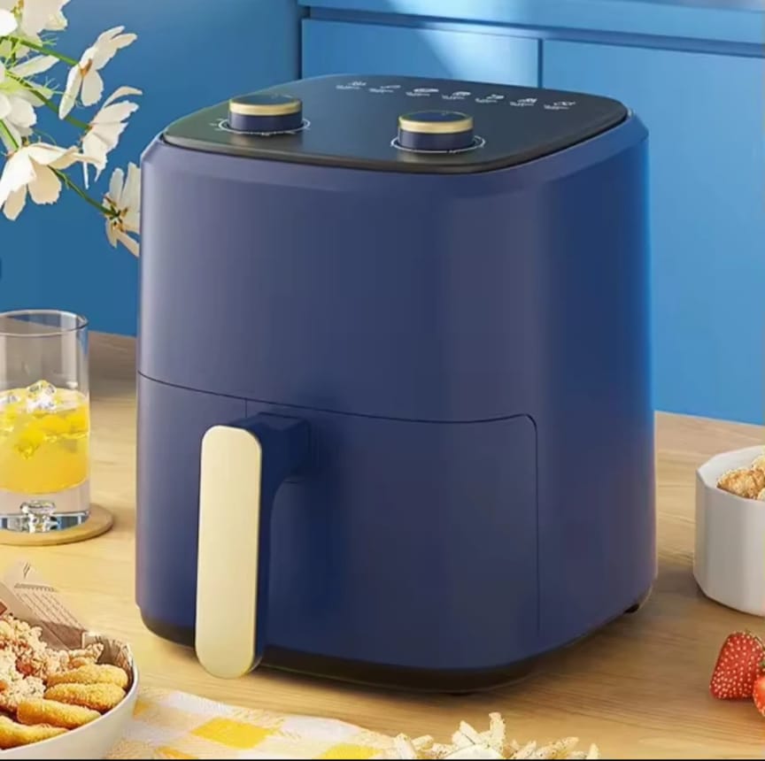 Friteuse électrique 6.5L